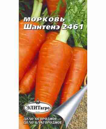 Морковь Шантенэ 2гр.